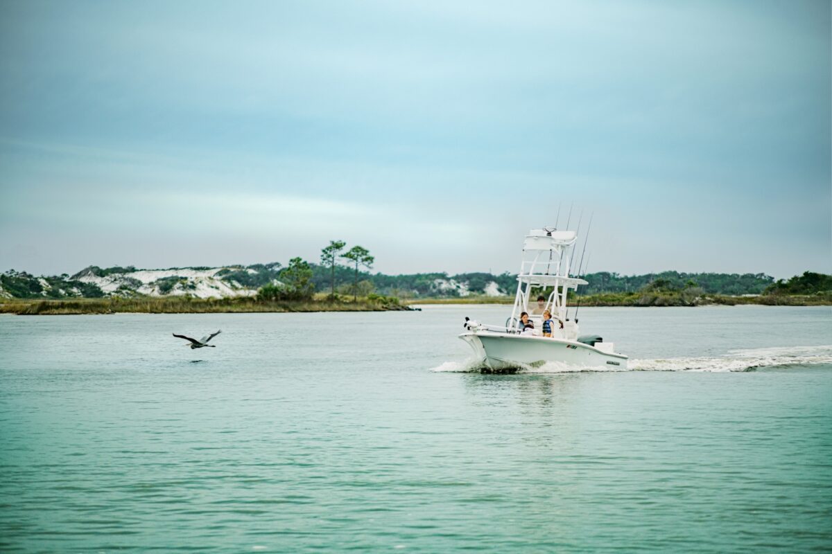 Fishing charters are available for everyone from families to experienced anglers.