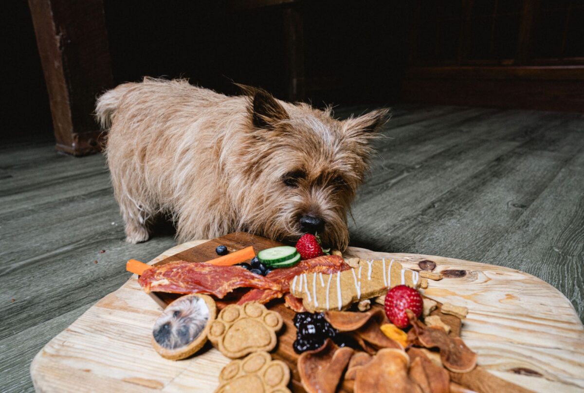 Barkuterie Board at the Palmetto Hotel in Charleston, South Carolina.