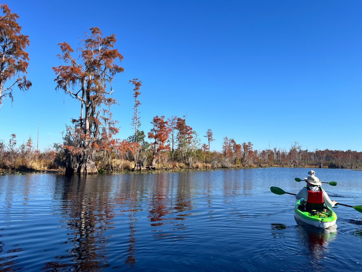 Camp, hike or paddle your way through this wild Georgia wonderland