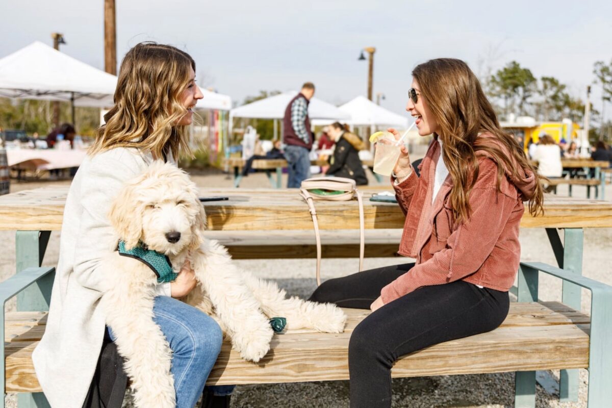 Dog-friendly Charleston