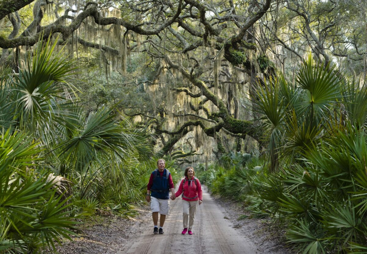 Live oak forests on Cumberland Island